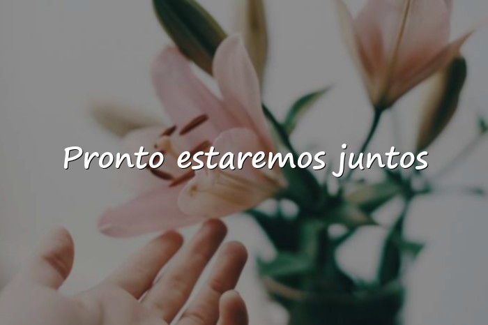 Imágenes frases de amor a distancia - 1
