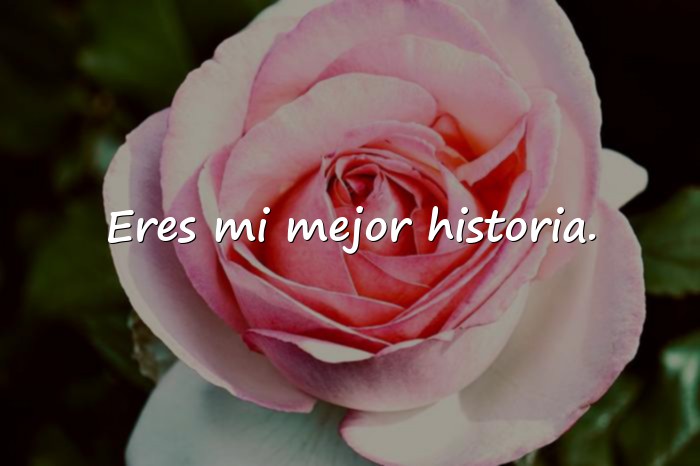 Imágenes frases de amor de libros - 15