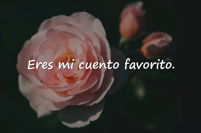 Imágenes frases de amor de libros - 6