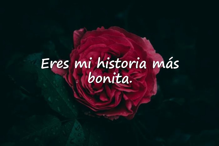 Imágenes frases de amor de libros - 1
