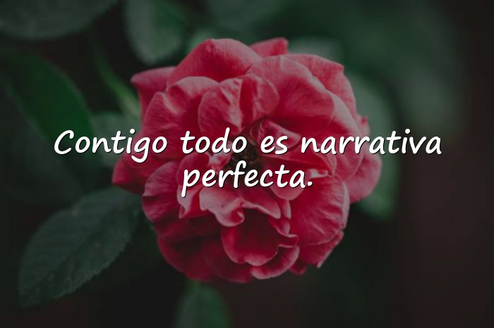 Imágenes frases de amor de libros - 21