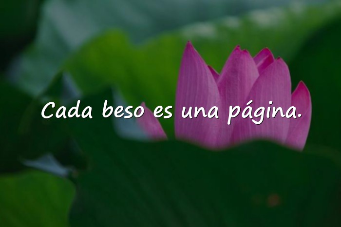 Imágenes frases de amor de libros - 16