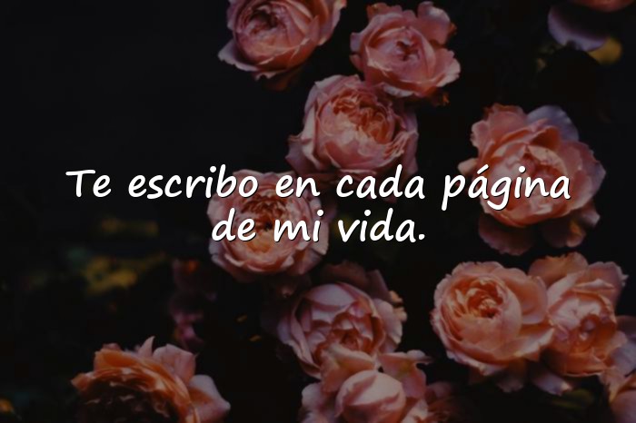 Imágenes frases de amor de libros - 11