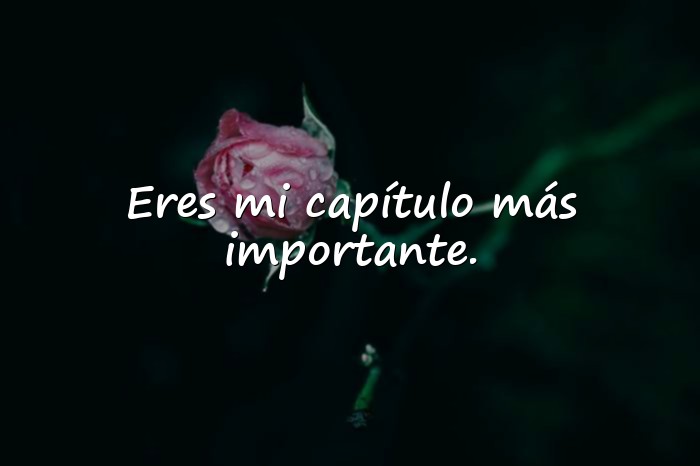 Imágenes frases de amor de libros - 6