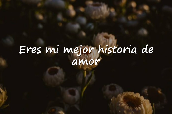 Imágenes frases de amor de libros - 1