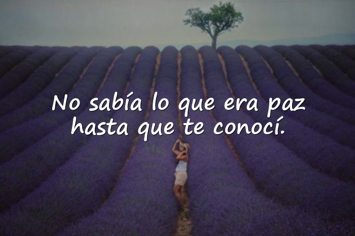 Imágenes frases de amor para dedicar - 22