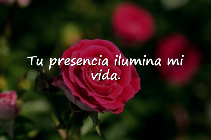 Imágenes frases de amor para dedicar - 13