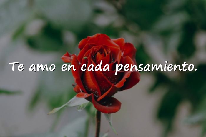 Imágenes frases de amor para dedicar - 4