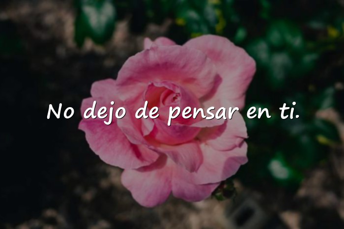 Imágenes frases de amor para enamorar - 9