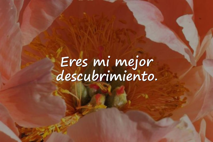 Imágenes frases de amor para enamorar - 20