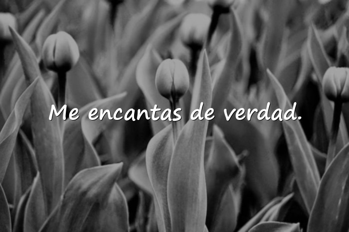 Imágenes frases de amor para enamorar - 10