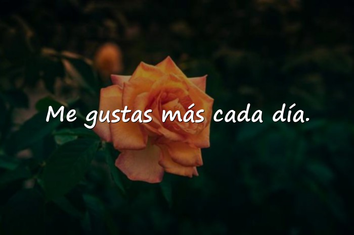 Imágenes frases de amor para enamorar - 5