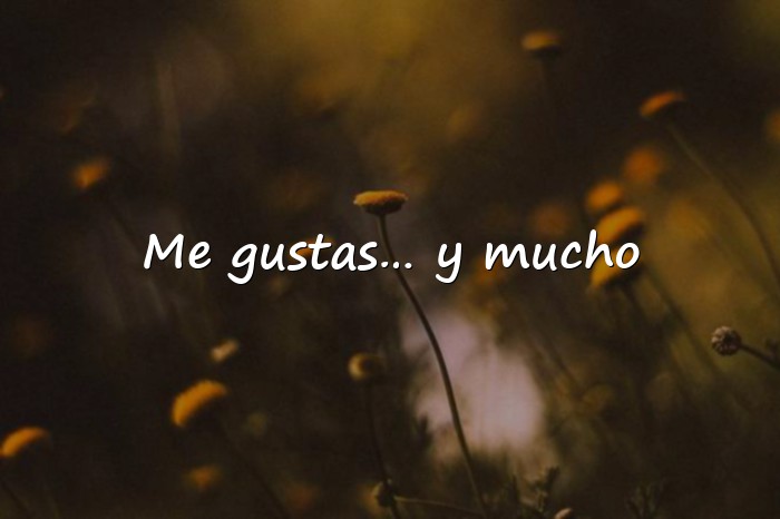 Imágenes frases de amor para enamorar - 1