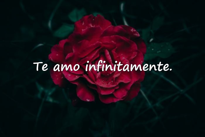 Imágenes frases de amor para mi esposa - 15