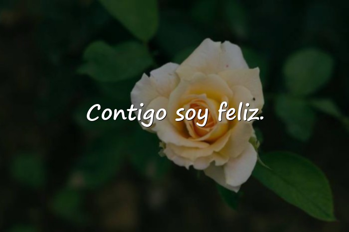 Imágenes frases de amor para mi esposa - 13