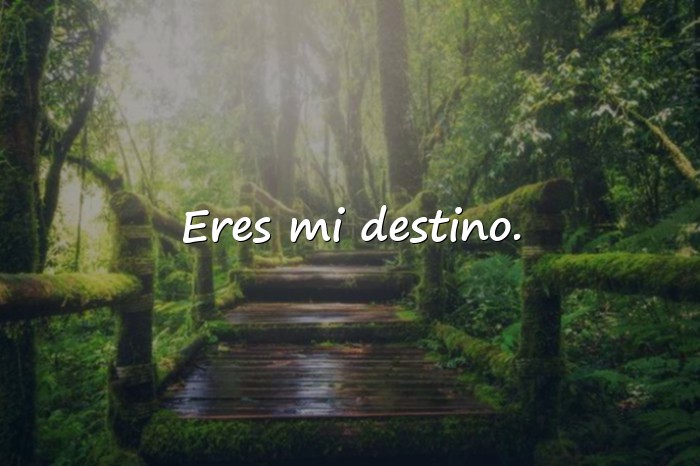 Imágenes frases de amor para mi esposa - 11