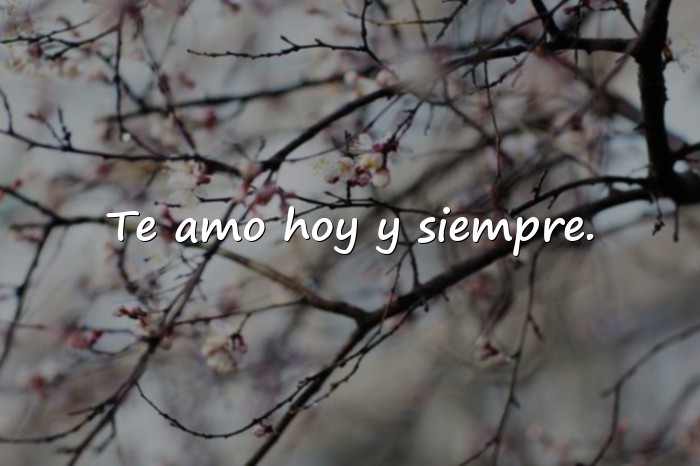 Imágenes frases de amor para mi esposa - 10