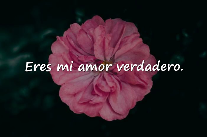 Imágenes frases de amor para mi esposa - 9