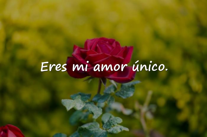 Imágenes frases de amor para mi esposa - 3