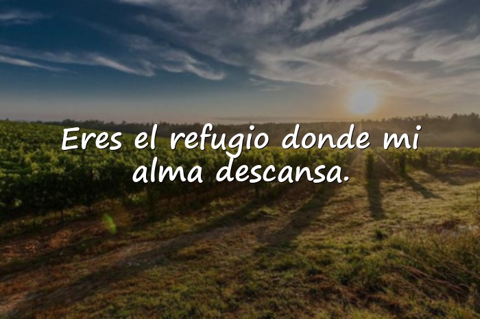 Imágenes frases de amor profundas - 7