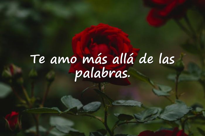Imágenes frases de amor profundas - 2