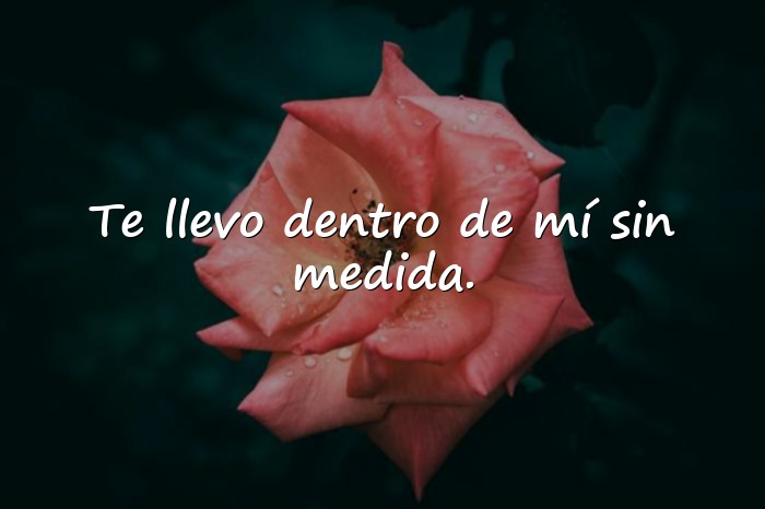 Imágenes frases de amor profundas - 23