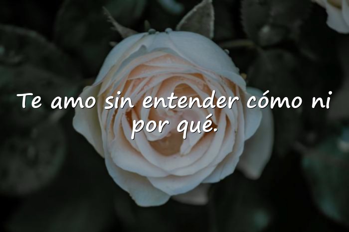 Imágenes frases de amor profundas - 12