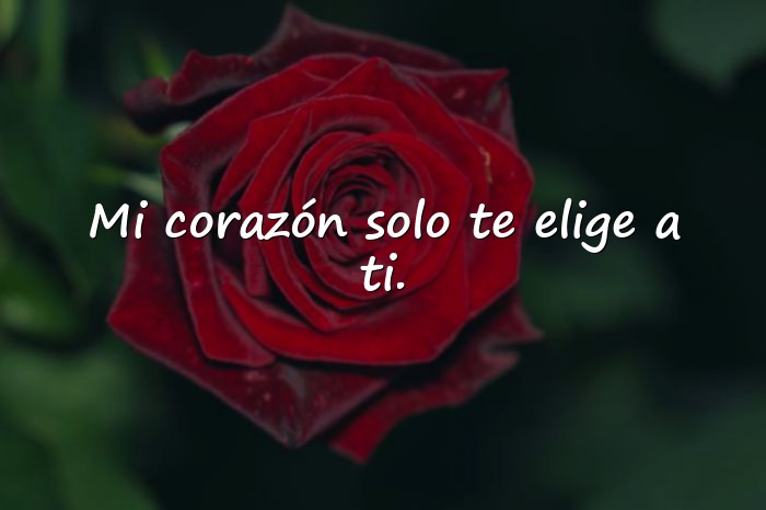 Imágenes frases de amor profundas - 7