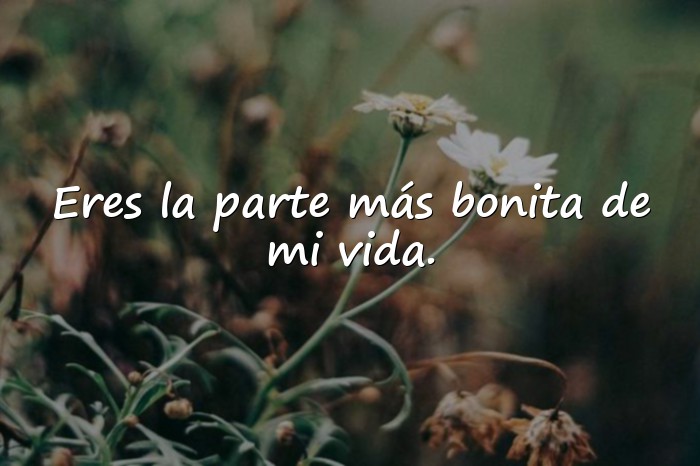 Imágenes frases de amor profundas - 4