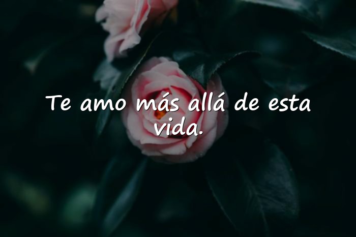 Imágenes frases de amor profundas - 1