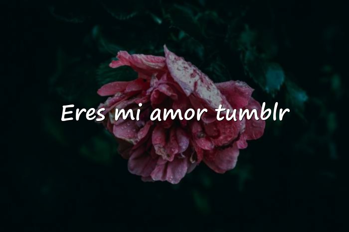 Imágenes frases de amor tumblr - 1