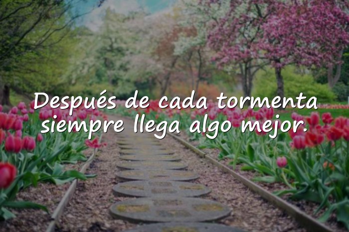 Imágenes frases de animo - 13