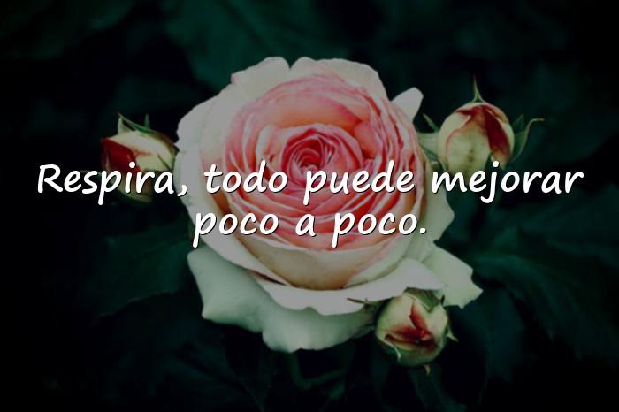 Imágenes frases de animo - 8