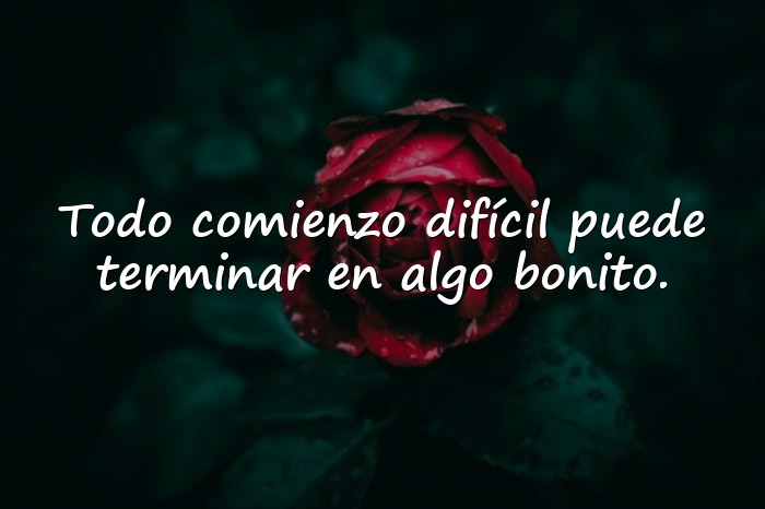 Imágenes frases de animo - 4