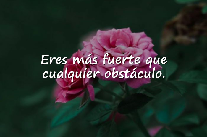 Imágenes frases de animo - 25