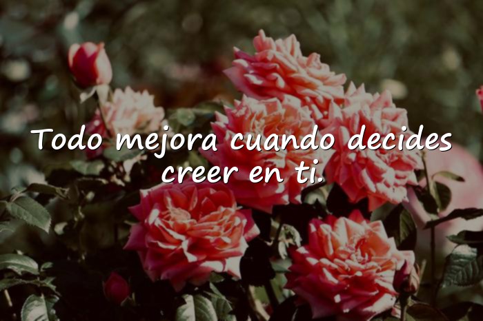 Imágenes frases de animo - 20