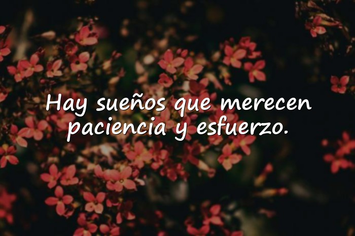 Imágenes frases de animo - 16