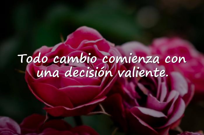 Imágenes frases de animo - 5