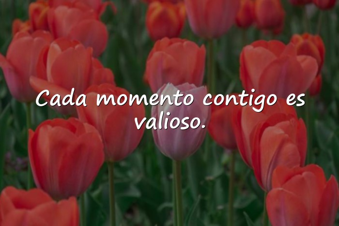 Imágenes frases de aniversario - 8