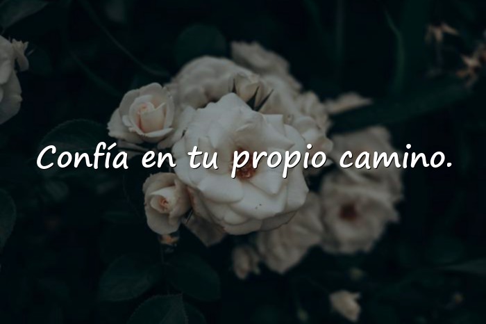 Imágenes frases de autoestima - 12