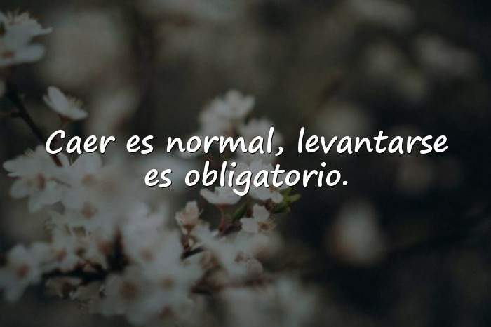 Imágenes frases de bandidos - 10