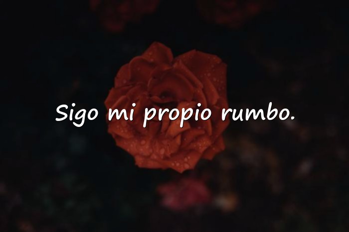 Imágenes frases de bandidos - 19