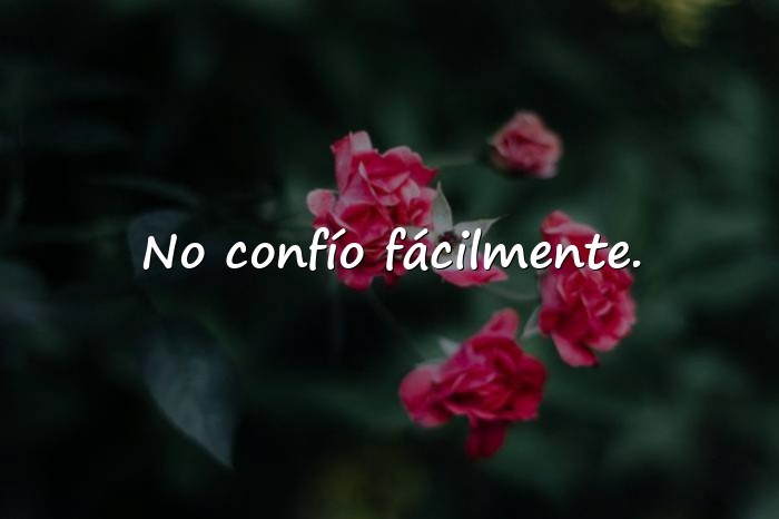 Imágenes frases de bandidos - 14