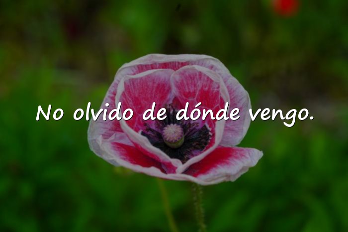 Imágenes frases de bandidos - 5