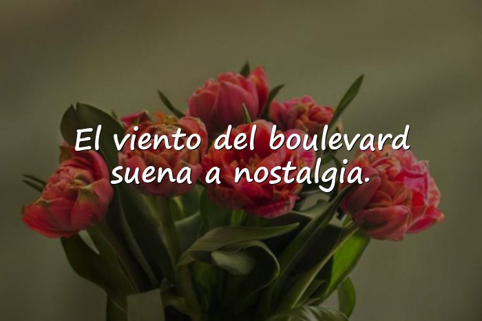 Imágenes Frases de Boulevard - 16