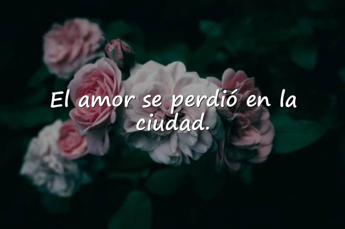 Imágenes Frases de Boulevard - 11