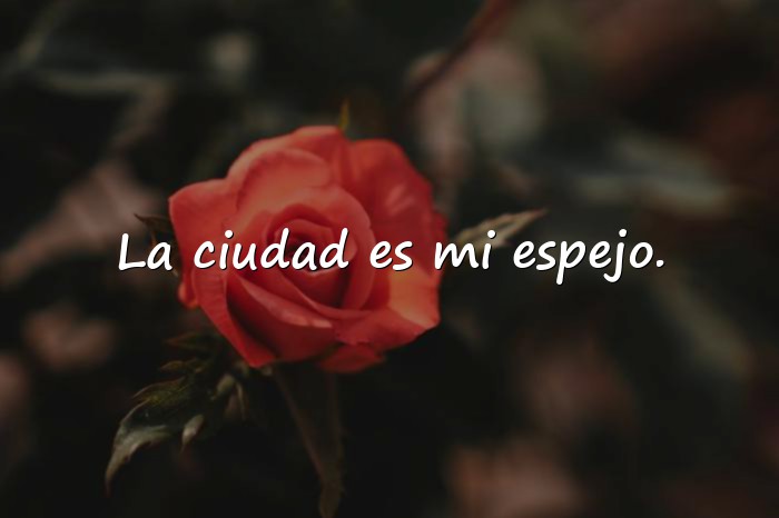 Imágenes Frases de Boulevard - 1