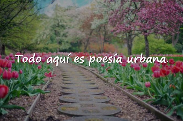 Imágenes Frases de Boulevard - 21