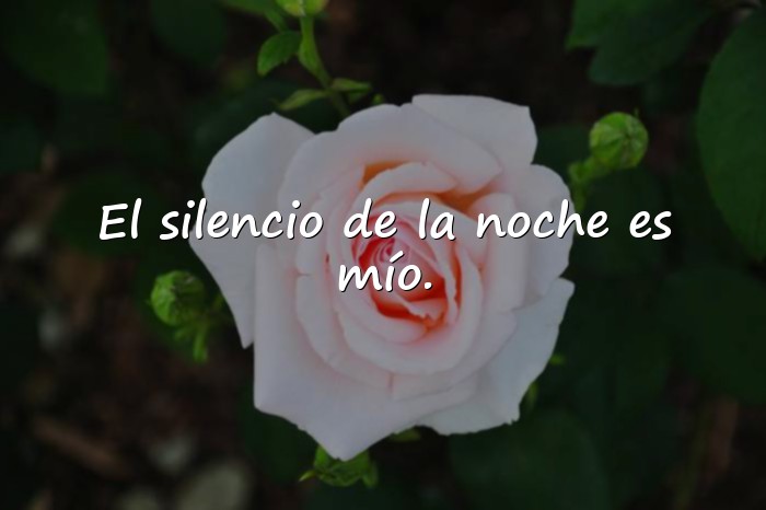 Imágenes Frases de Boulevard - 16