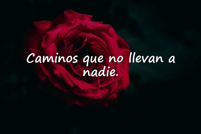 Imágenes Frases de Boulevard - 11